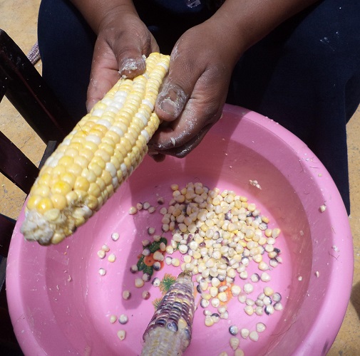 Fabricación de envueltos